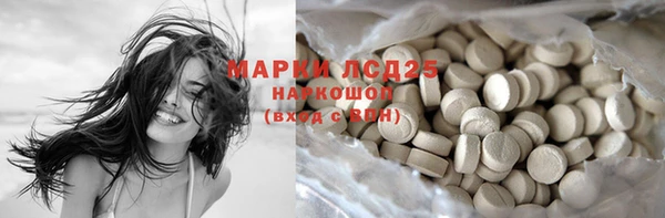 соль ск Дмитриев