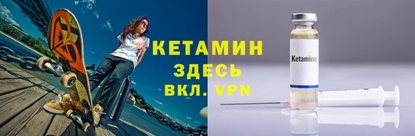 соль ск Дмитриев