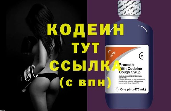 соль ск Дмитриев