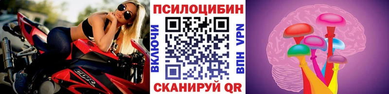 Галлюциногенные грибы Cubensis  наркотики  Сенгилей 
